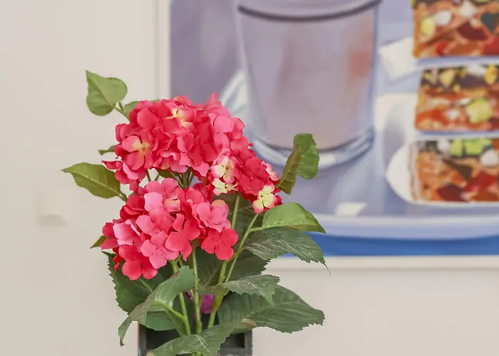 بيت ضيافة Kovacevic