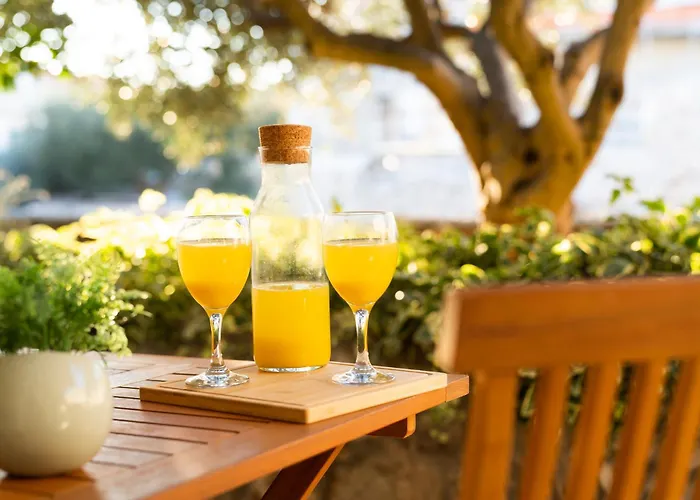 Kovacevic 3* هفار